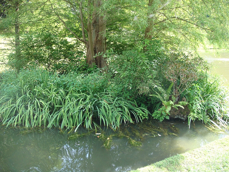 023 Longwood Gardens [2008 August 23].JPG - Longwood Gardens in Pennsylvania